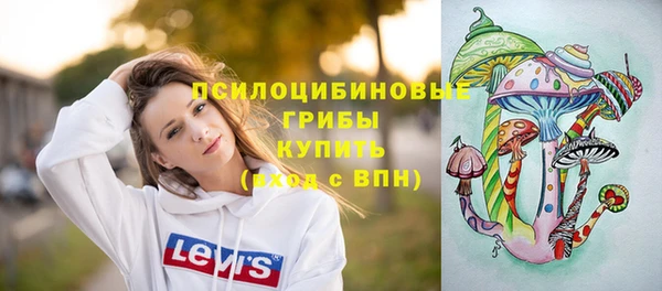 ECSTASY Алексеевка