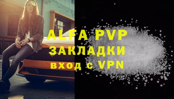 крисы Алзамай