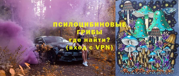 ECSTASY Алексеевка